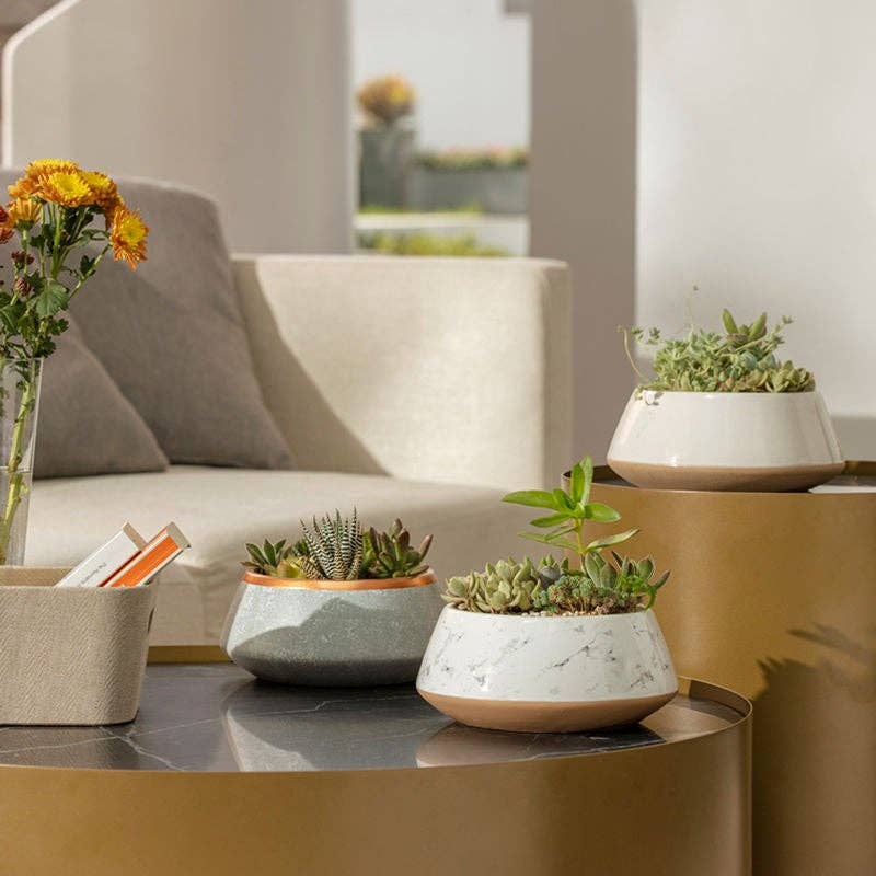 Low Ceramic Planter-White with Terracotta