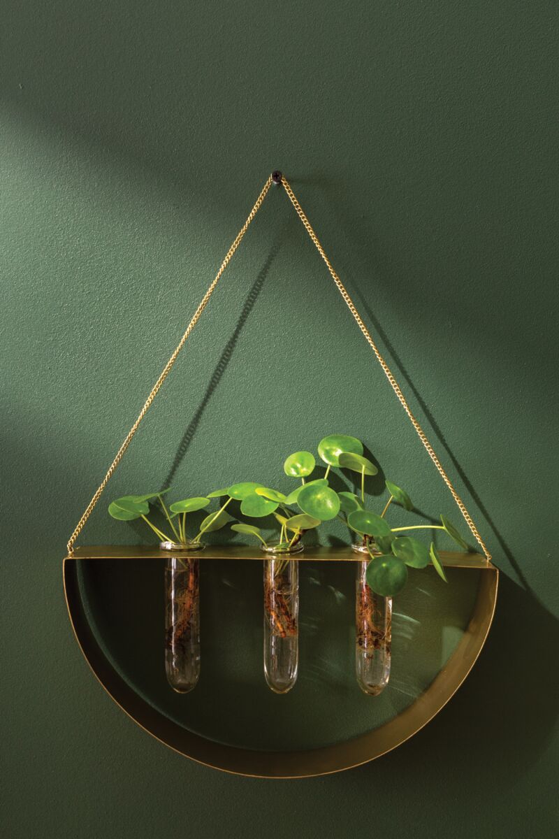 Semi Circle Hanging Propagation Station