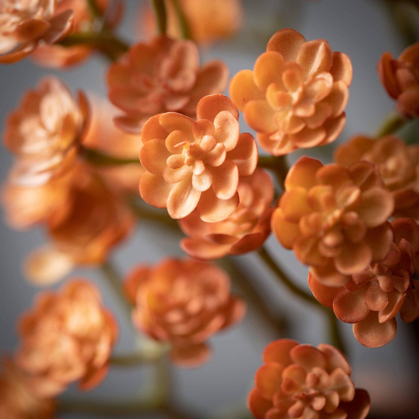 Faux Botanical Orange Echeveria Succulent