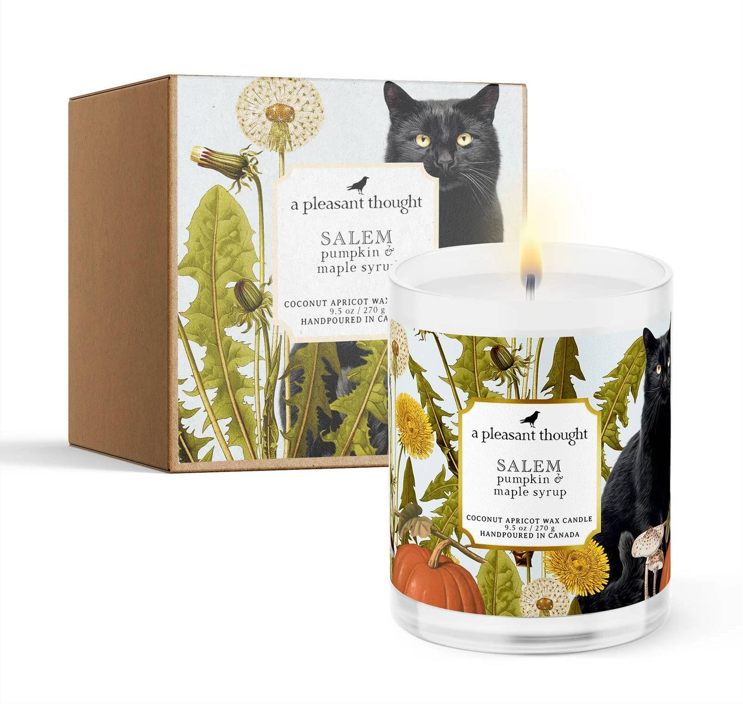 Salem Pumpkin & Cinnamon Maple Candle