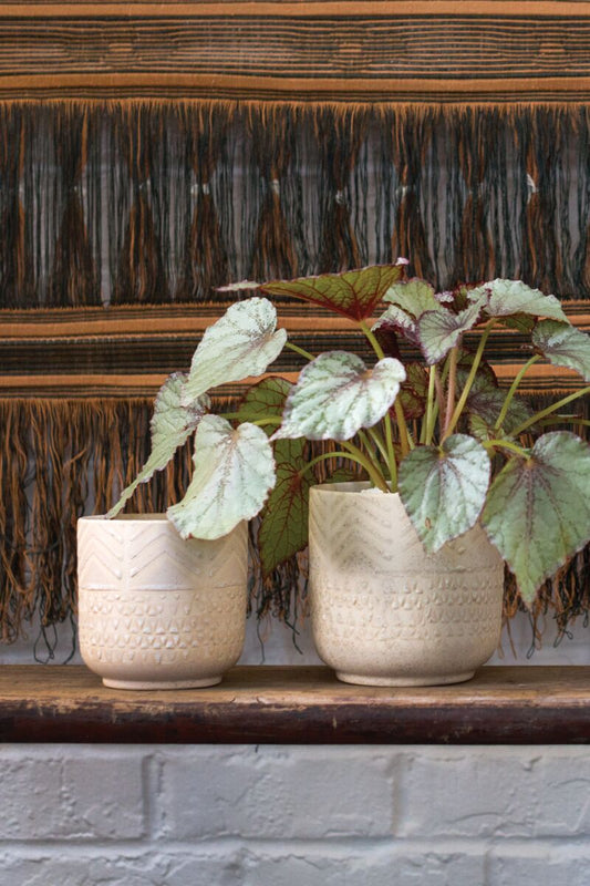 Cream Pattern Pot with Speckles-Small