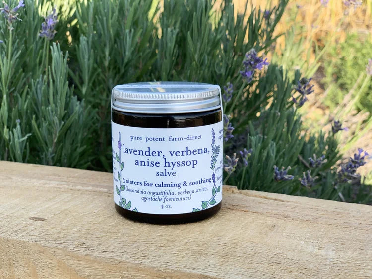 Herbal Salve- Lavender| Vervain | Anise Hyssop
