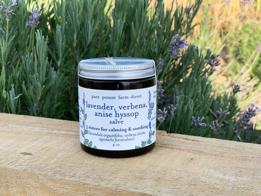 Herbal Salve- Lavender| Vervain | Anise Hyssop