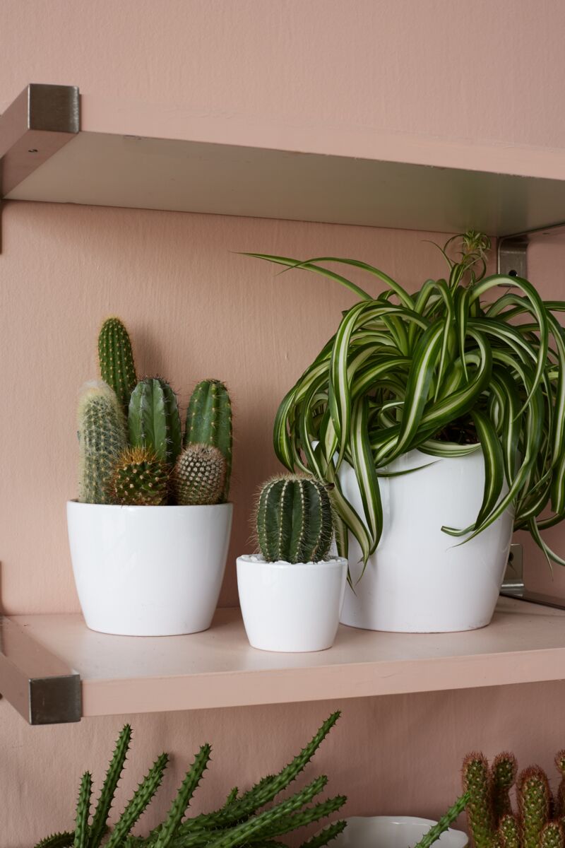 White Ceramic Succulent Pot- 3"x2.5"